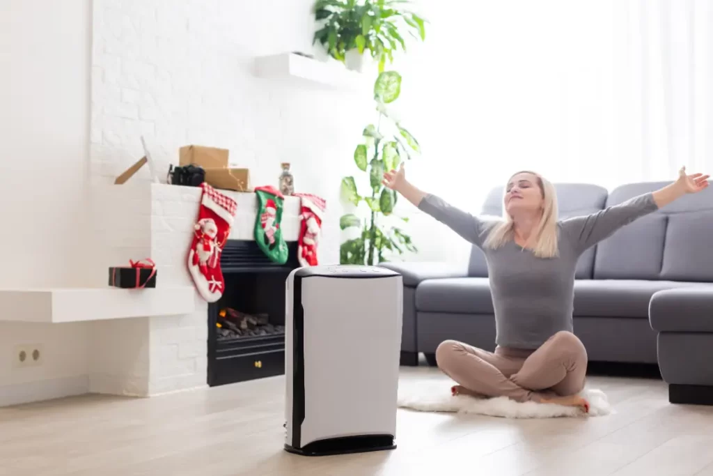 Portable Air Conditioners